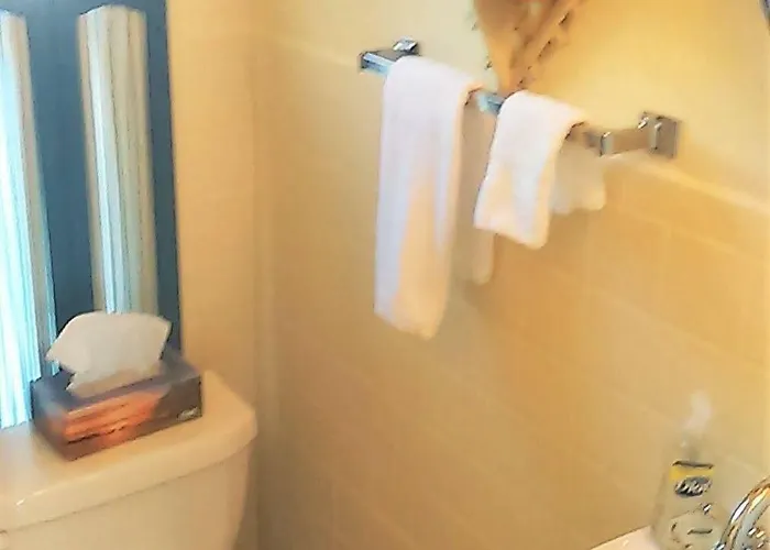 Maple Leaf Hotel 3*